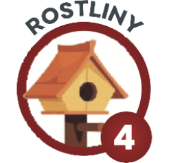 rostliny